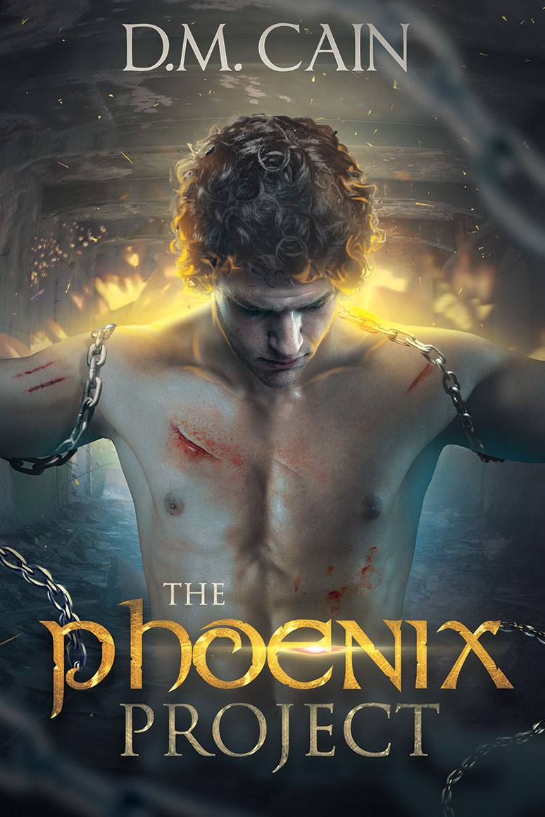 the_phoenix_project-new