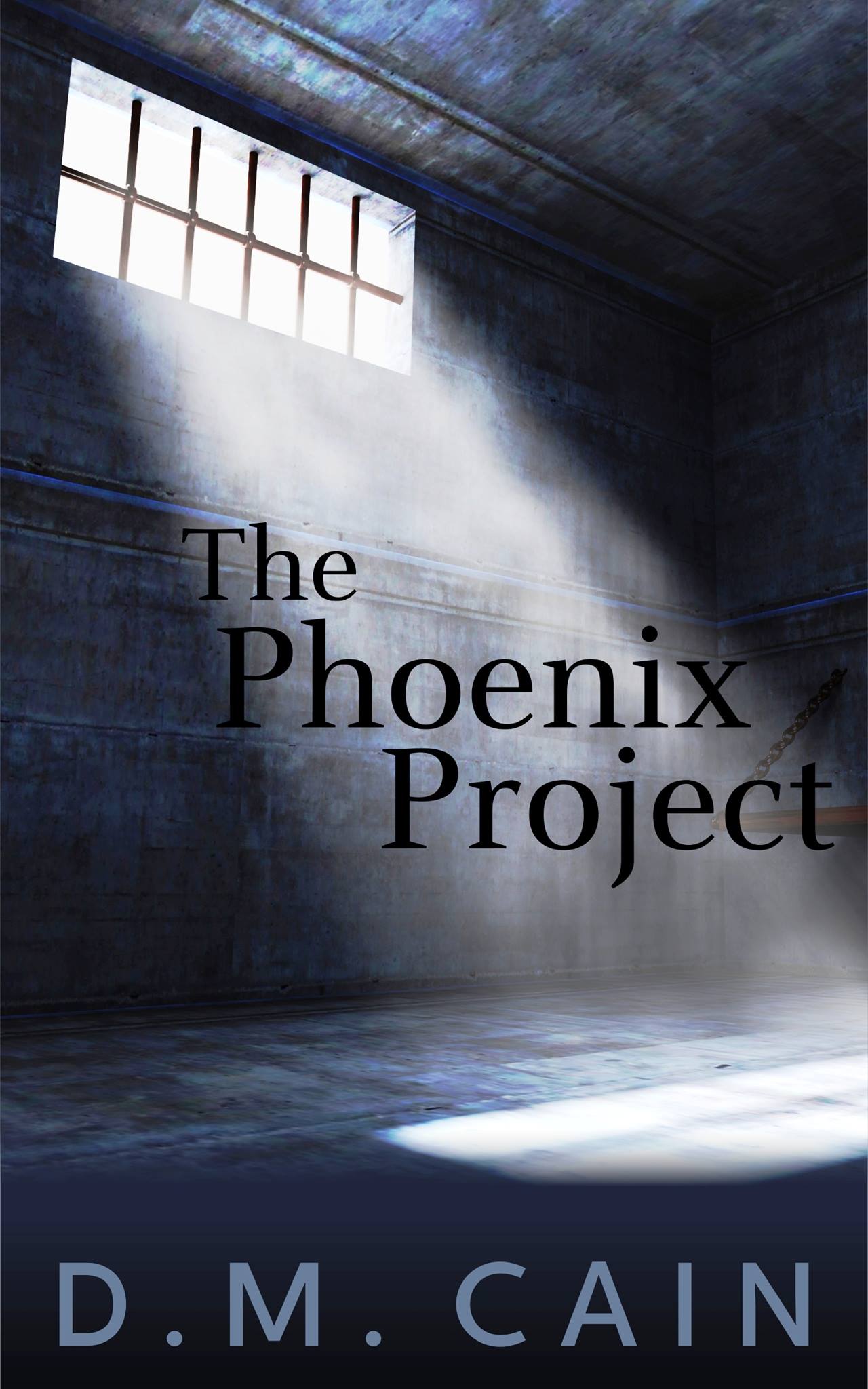 the_phoenix_project